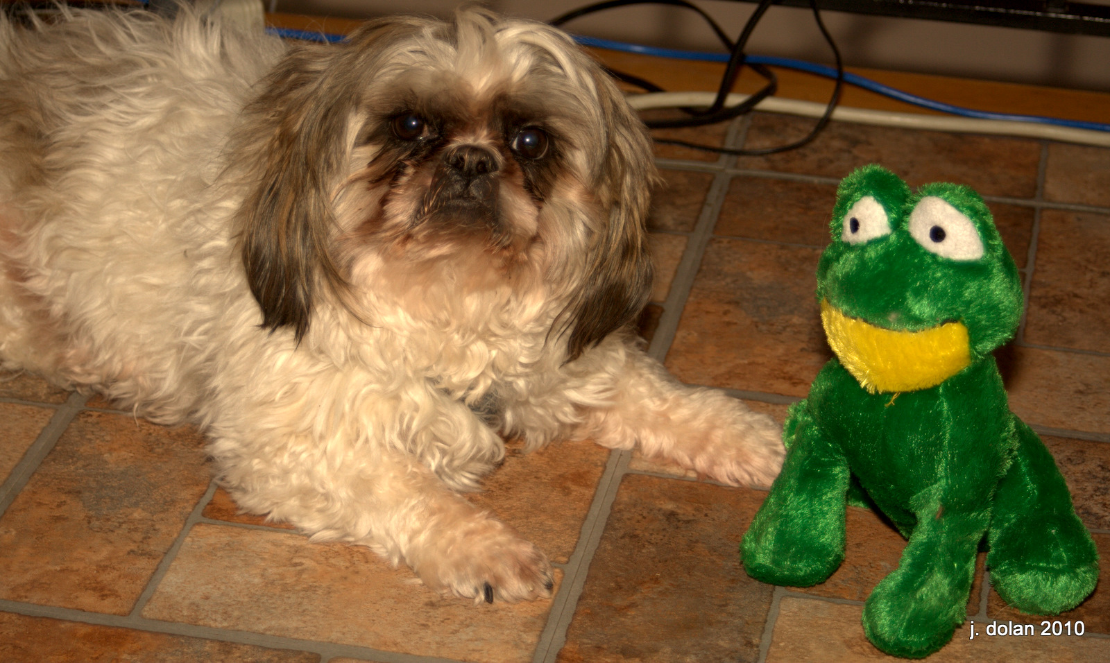 Akiva - Me and my frog