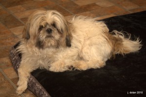Vasco da Gama posing for the camera