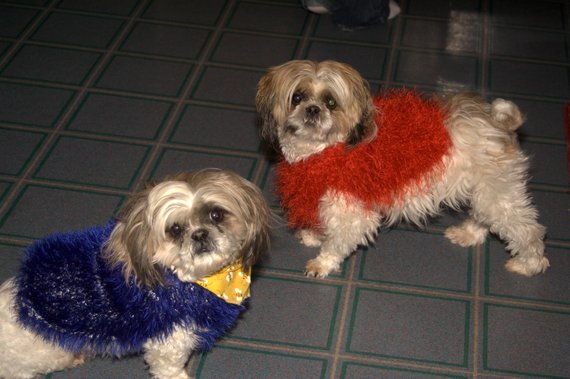 Akiva and Vasco on Christmas Day