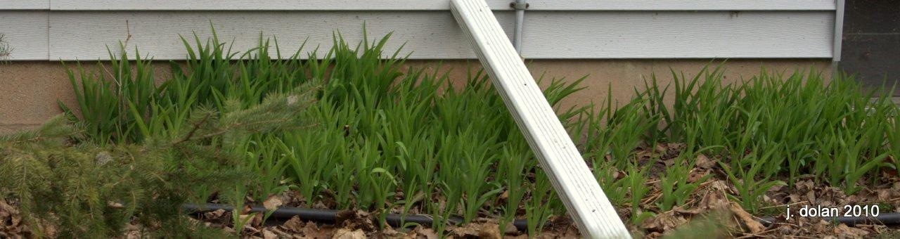 Will 2011 Bring Another Early Spring? — Watching the Calendar and the Garden
