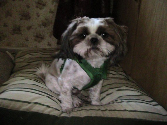 Bae on May 28, 2008