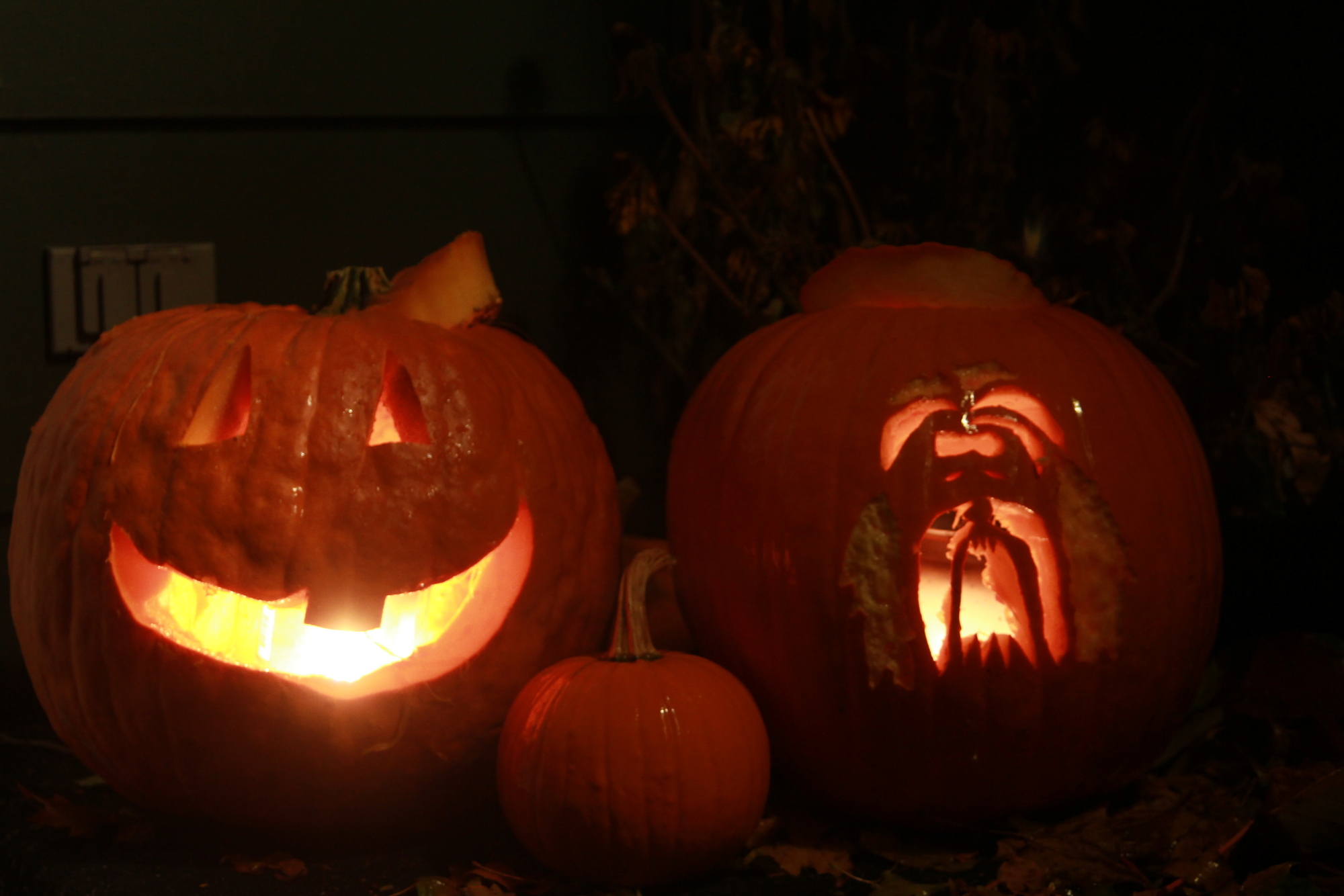 Halloween 2013 at Home — Karen’s Colonial Costume and Fresh Pumpkin Seeds