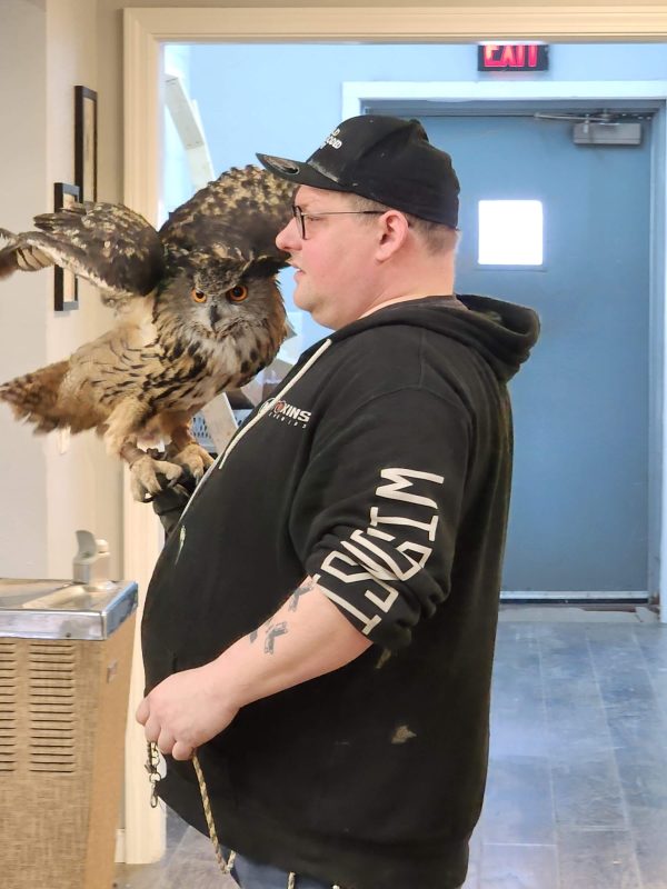 MToxins Venom Lab staff member holding a Eurasian eagle-owl with wings partly spread on his gloved arm