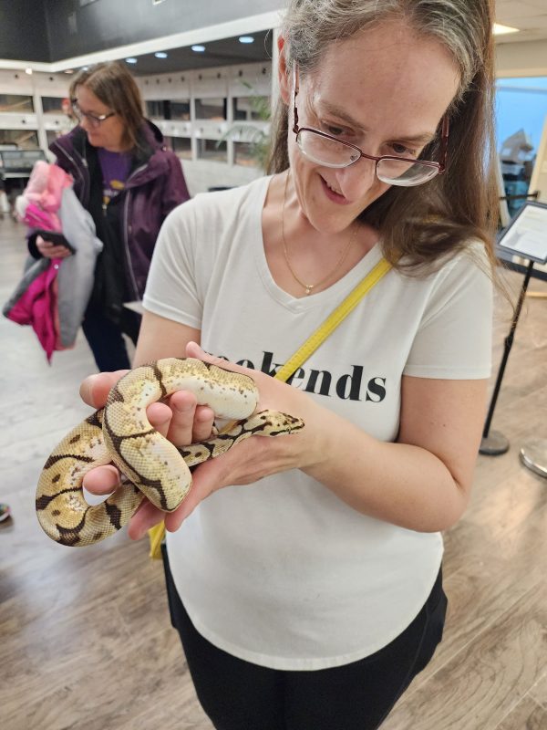 Visitor holding a pastel ball python with rows of reptile enclosures in the background at MToxins Venom Lab