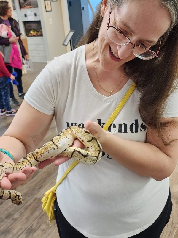 Smiling visitor holding a pastel ball python that is coiled gently around her hand at MToxins Venom Lab