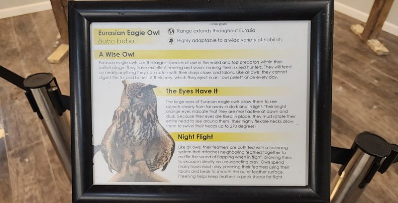 Educational placard about the Eurasian eagle-owl, Bubo bubo, at MToxins Venom Lab