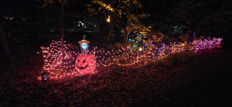 Skeleton in a hat rising from a jack-o-lantern in a field of pink fairy lights