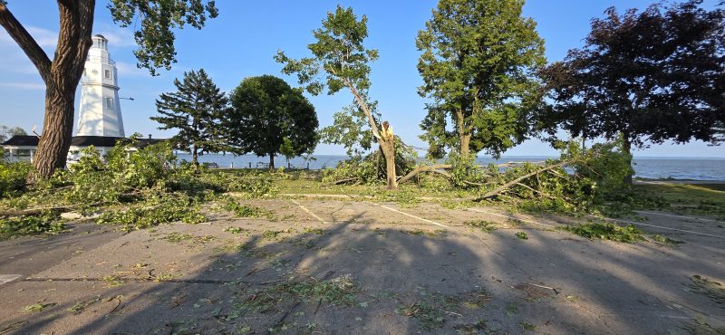 A snapped tree with its trunk splintered off in the parking area, the Kimberly Point Lighthouse standing behind it