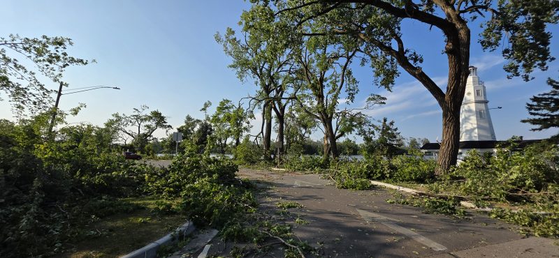 Storm debris scattered across the Kimberly Point Park drive, the lighthouse standing at right by the water