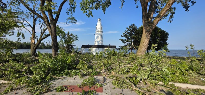 The white Kimberly Point Lighthouse framed between two trees with a pile of downed branches in the foreground