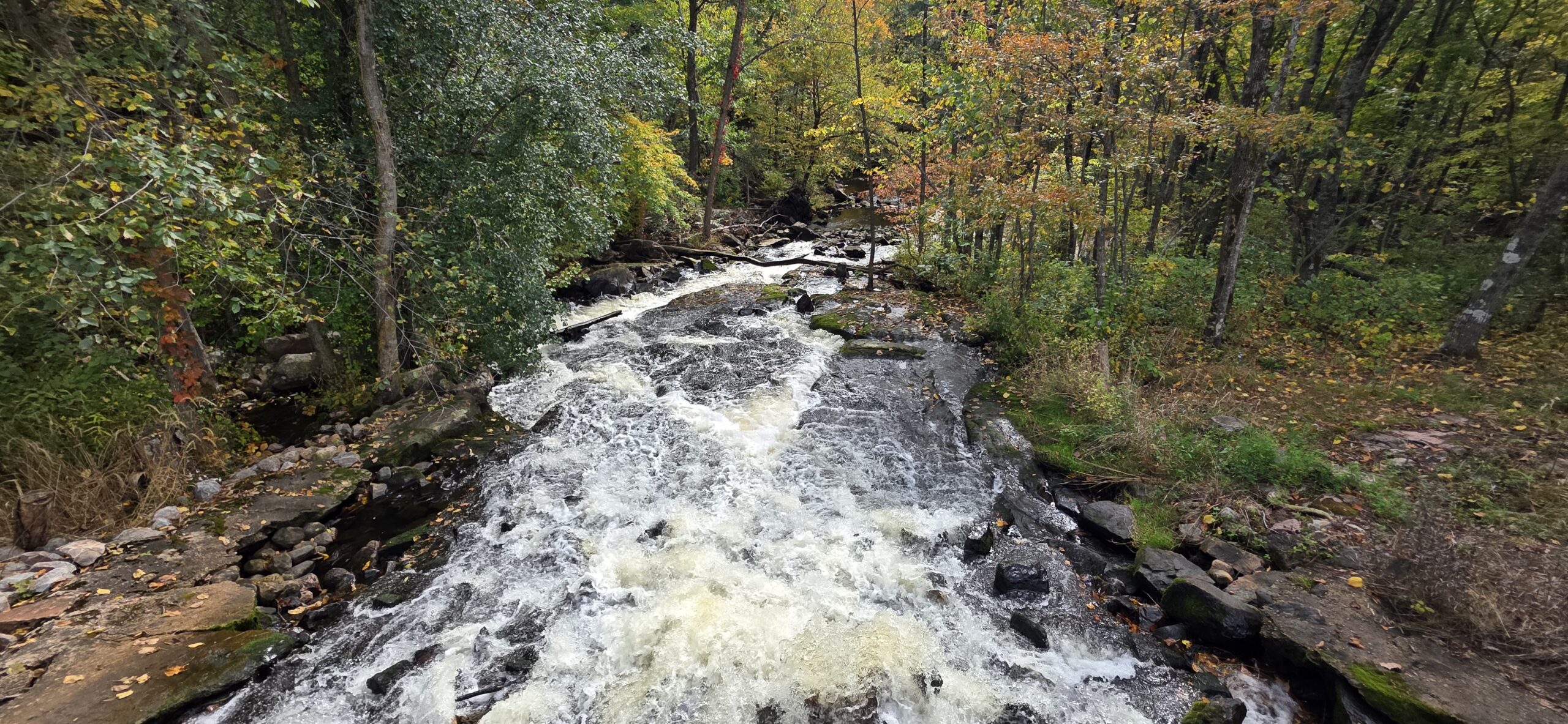 Aerial view of fast-moving river rapids rushing over rocky terrain through a dense green and autumn-tinted forest.