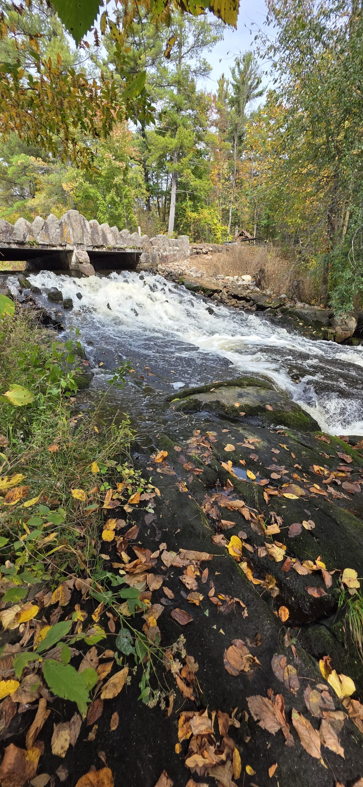 A rustic stone bridge spans a rushing waterfall and rapids surrounded by trees with autumn-tinted leaves, with fallen leaves scattered over mossy rocks in the foreground.