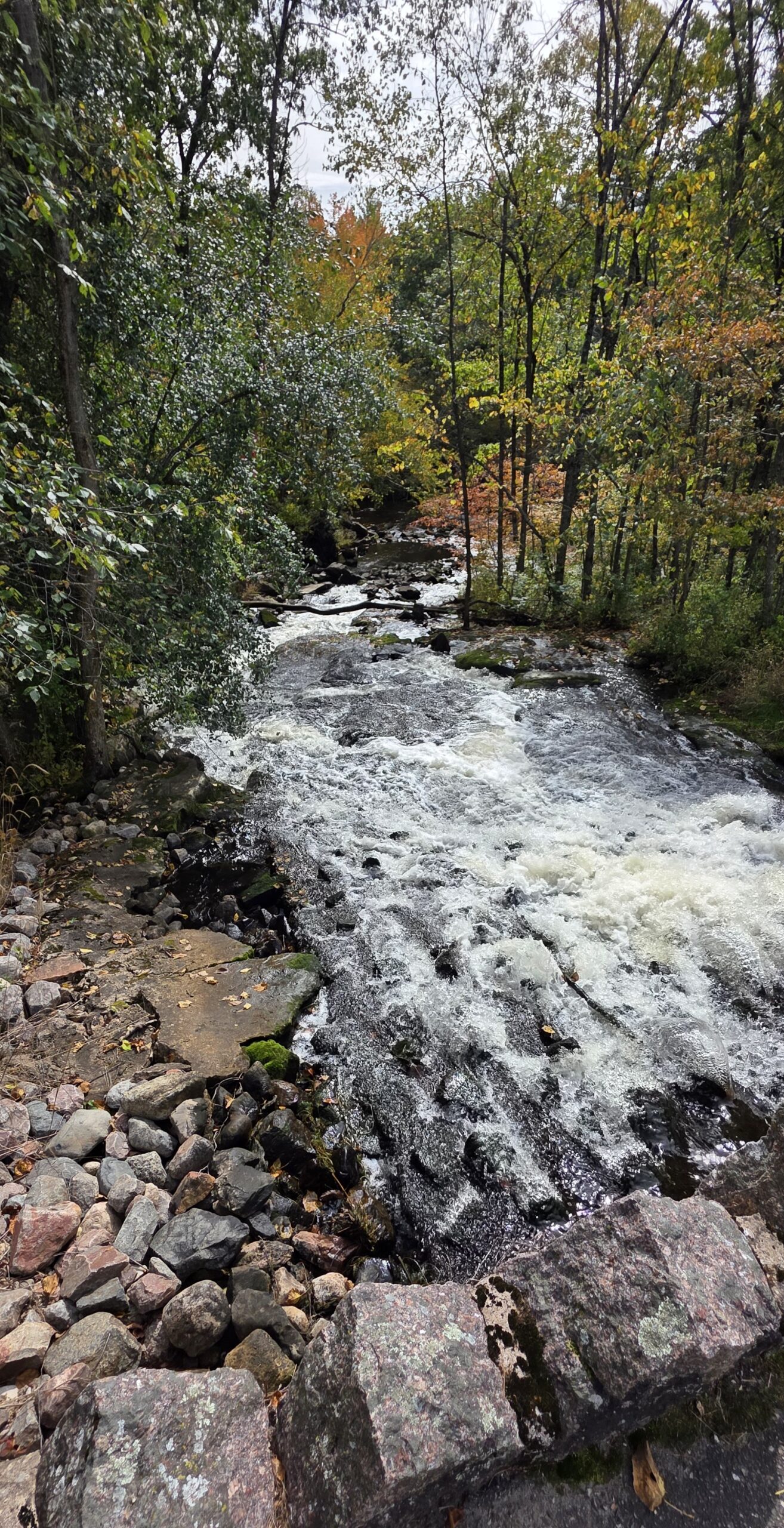High angle view of a rushing river with white water rapids flowing over dark rocks, surrounded by autumn trees.